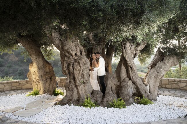 OliveNest_Wedding_007